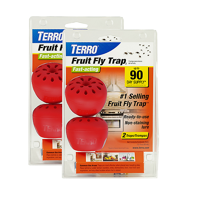 TERRO Indoor Fruit Fly Trap